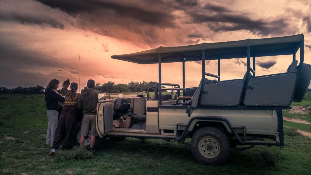 Malaria-free safari game drive in the Eastern Cape South Africa