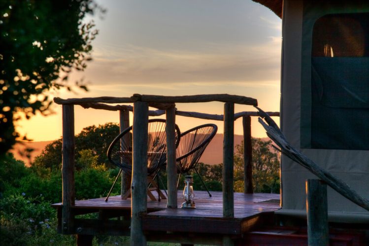 Best-Game-Lodges-in-the-Eastern-Cape-Bellevue-Forest-Game-Reserve-1024x683.jpg