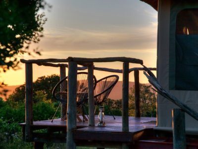 Best-Game-Lodges-in-the-Eastern-Cape-Bellevue-Forest-Game-Reserve-1024x683.jpg
