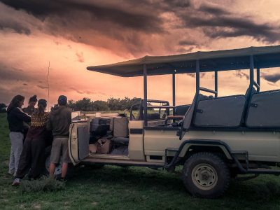 Malaria-free safari game drive in the Eastern Cape South Africa